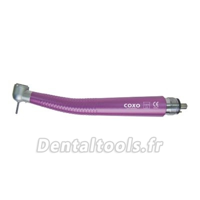 COXO® CX207C1-1TP Grande Pièce à main en couleur à grande vitesse de bouton poussoir COXO® CX207C1-1TP Grande Pièce à main en couleur à grande vitesse de bouton poussoir
