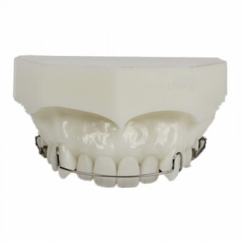 Modèle anatomique dentaire Orthodontie Maintenance de traitement M3007