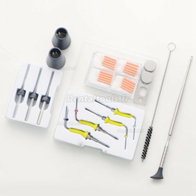 Denjoy Freefill Kit de système d'obturation dentaire endodonotique à la gutta percha sans fil
