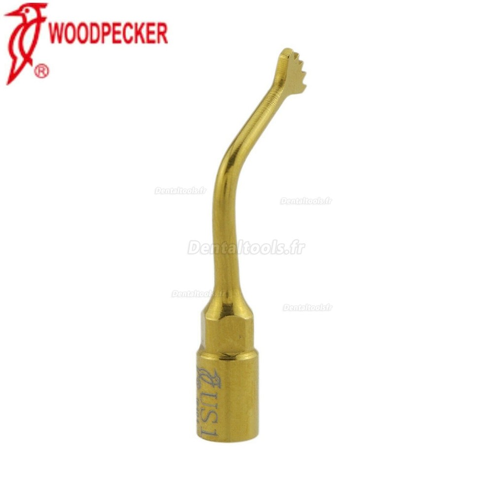 Woodpecker Dentaire Chirurgie osseuse pour échographie Inserts US1 US2 compatible avec EMS Woodpecker Mectron