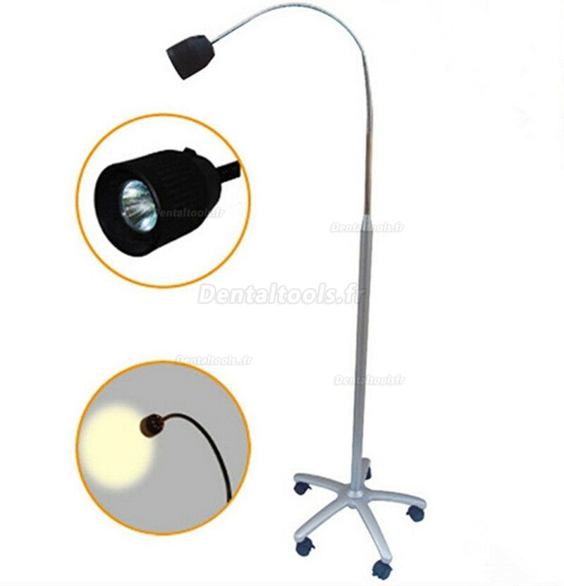 35W Lampe de vérification debout médicale dentaire  Lampe d'examen halogène sans ombres