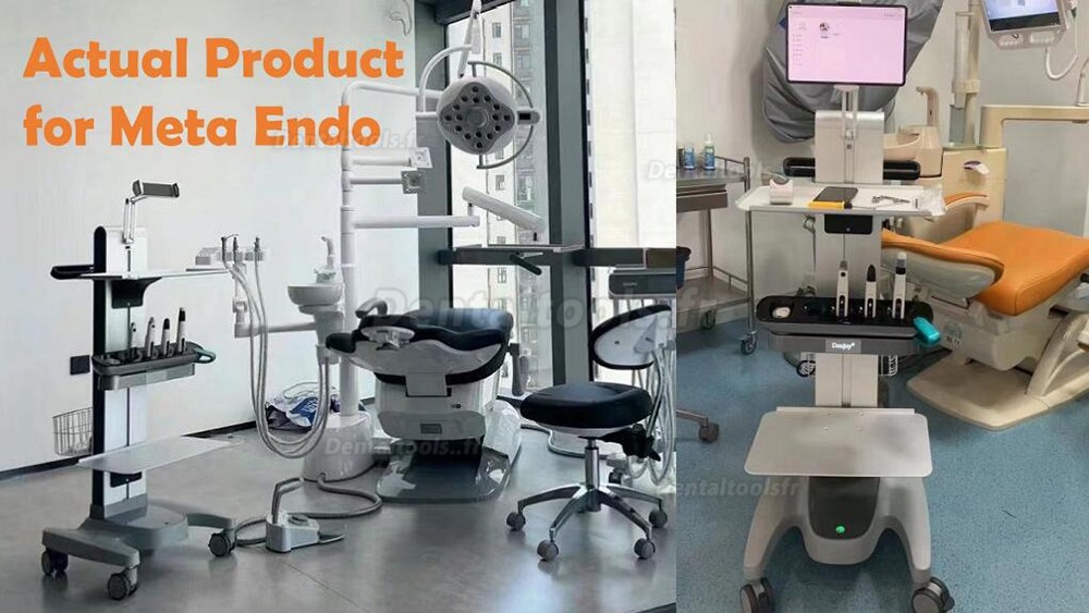 Denjoy MeteEndo Système d'unité de chariot endo intégré dentaire mobile (Moteur endo + testeur de pulpe + localisateur d'apex + système d'obturation)