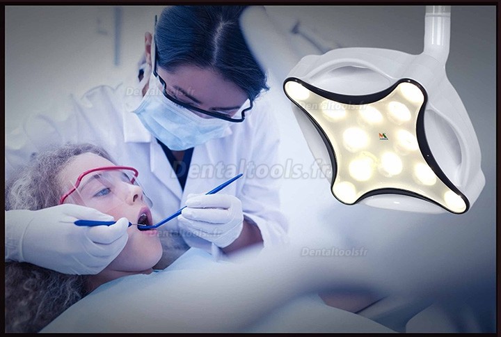 Micare JD1700L Lampe chirurgicale dentaire mobile lampe d'examen sans ombre