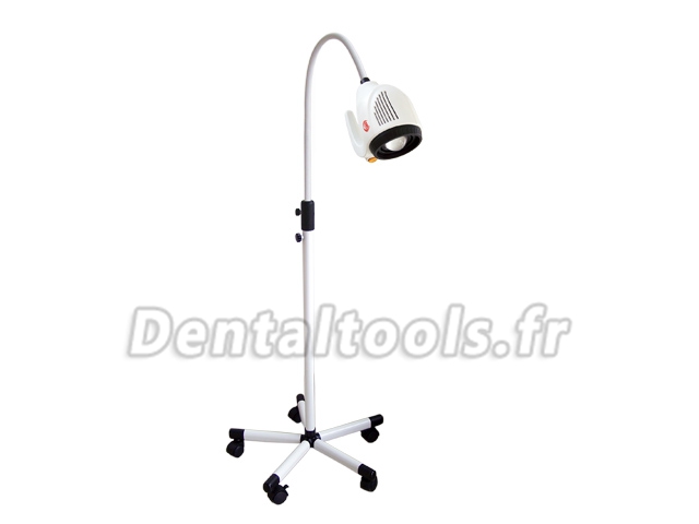 KWS® Lampe de diagnostic dentaire d'O.R.L KD-202B-8(2014) 20W KWS® Lampe de diagnostic dentaire d'O.R.L KD-202B-8(2014) 20W