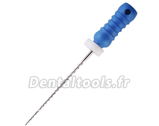 60pcs Limes endodontiques dentaire H-File acier 21/25mm Handy SCF alliage NiTi