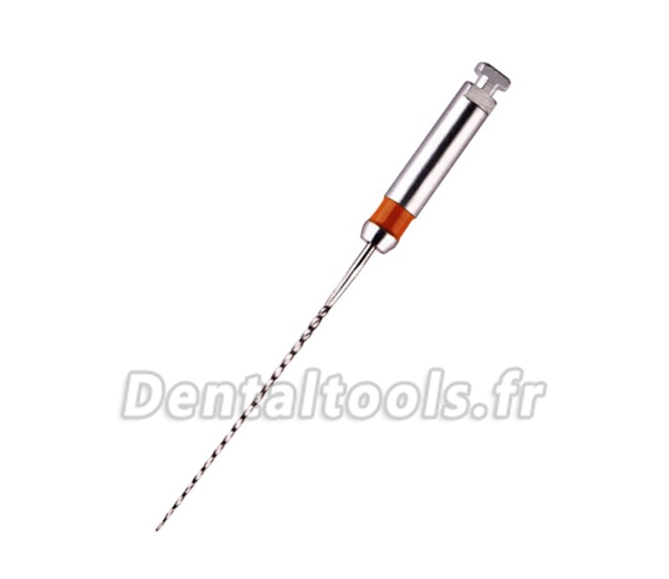 60pcs Limes endodontiques dentaire R-File 21/25mm SCF alliage NiTi