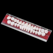 5PCS Porcelaine dentaire Dentiers matière de Alliage-Épingle couleur des dents plaque colorimétrique 1 ensemble 24 #