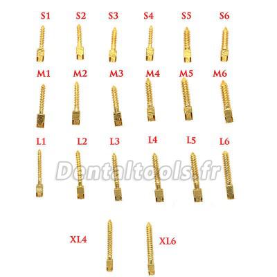 30pcs/sac dentaire matériel endodontique plaqué or 24k tige de vis Toutes les tailles