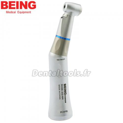 Being® Rose 202CAP-B Fibre optique Contre-angle 1:1 Spray Interne KAVO compatible