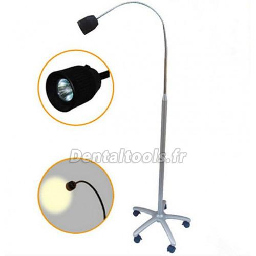 35W Lampe de vérification debout médicale dentaire  Lampe d'examen halogène sans ombres