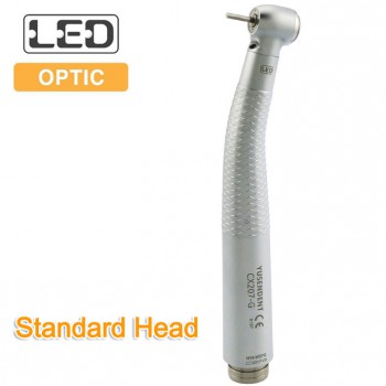 YUSENDENT® CX207-GW-SP Pièce à main à Fibre Optique Compatible W&H (Sans Raccord Rapide)