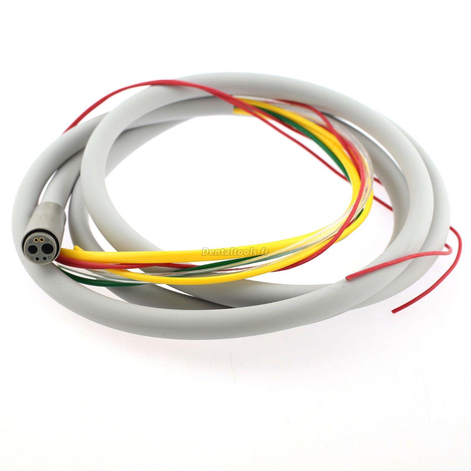 Pièce à Main Dentaire LANJING Haute Vitesse à Fibre Optique LED – Compatible NSK Phatelus – Parfait Pour Les Soins Dentaires