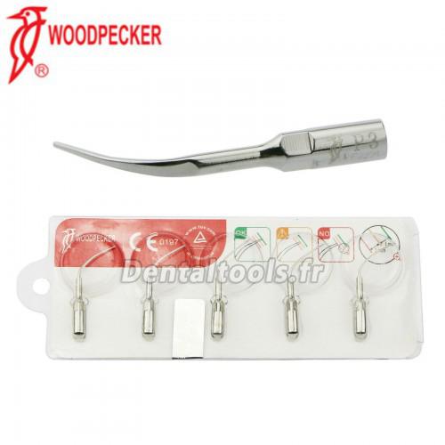 5Pcs Woodpecker DTE Insert de détartrage parodontal P3 compatible avec EMS UDS