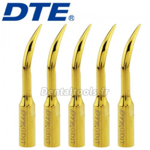 10Pcs Woodpecker DTE Dentaire Insert de détartreur ultrasonique à échelle supragingivale compatible avec DTE Satelec