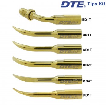 Woodpecker DTE Insert de détartreur mise à l'échelle endodontique GD1T GD2T PD1T ED1T compatible avec Satelec/NSK
