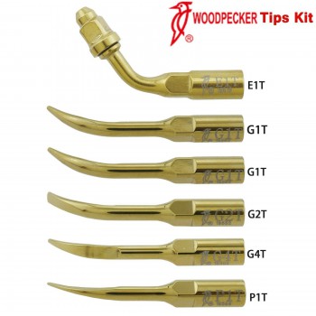Woodpecker DTE Kit Insert de détartreur à ultrasons dentaire Endo parodontie G1T...