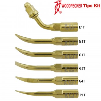 Woodpecker DTE Kit Insert de détartreur à ultrasons dentaire Endo parodontie G1T G2T G4T P1T E1T