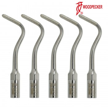 5Pcs Woodpecker G21 Insert de détartreur Polonais à dentine enduit de diamant co...