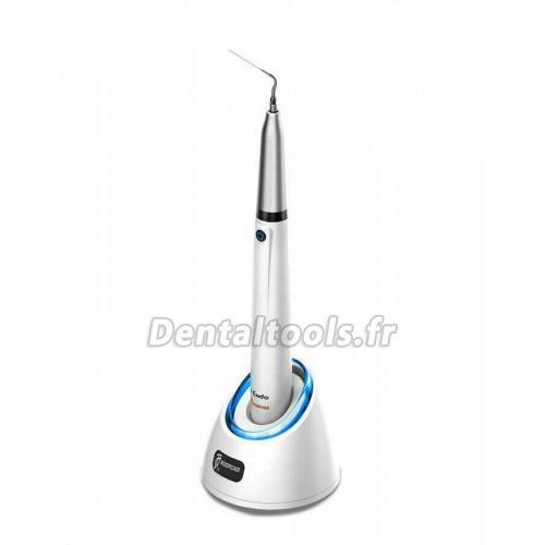 Woodpecker DTE Endo 1 Ergonomique Endo Irrigateur Endoactivateur Ultrasonique