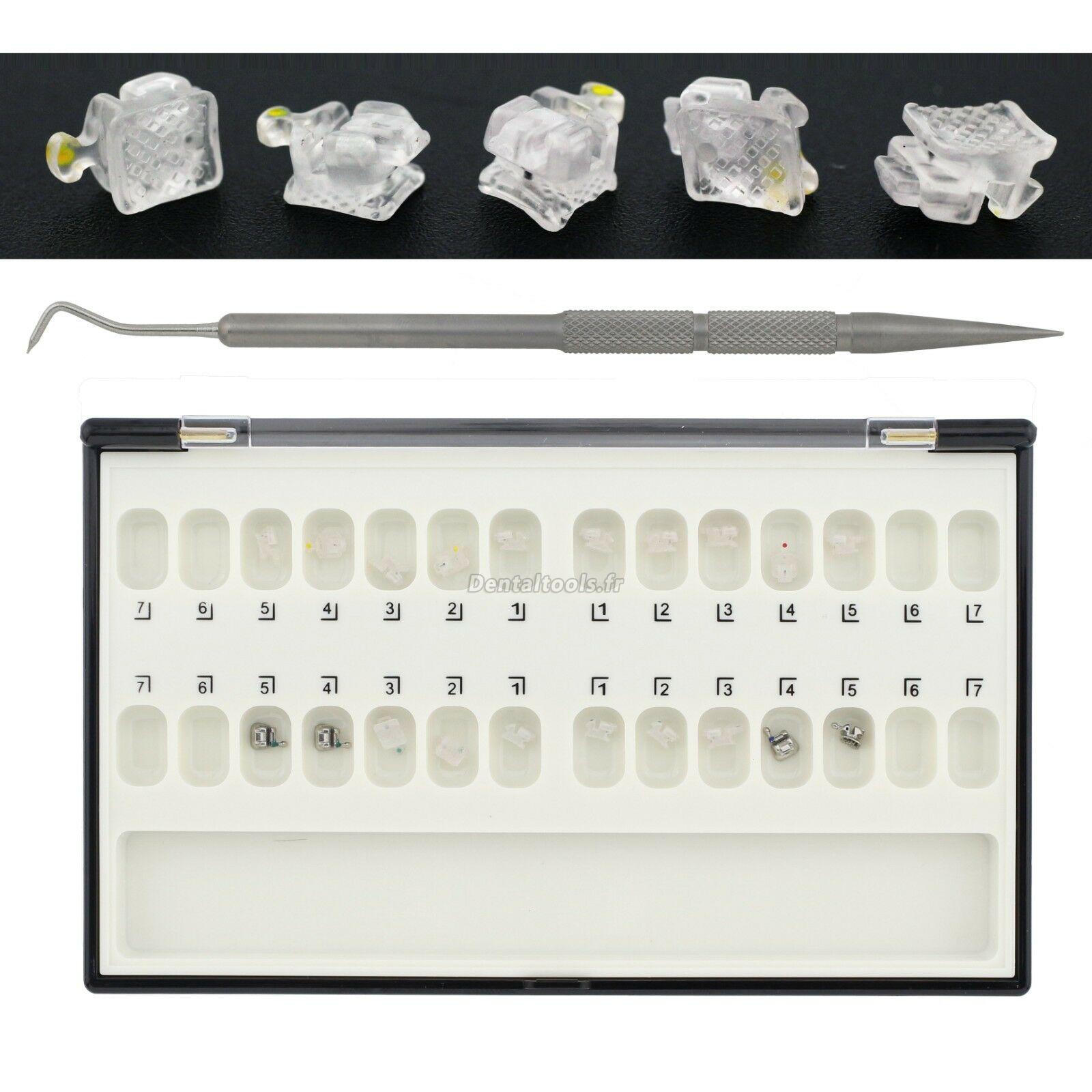 Lot De 50 Supports (brackets) Orthodontiques Mini MBT 022 - Base En Maille - Neuf Origine Chine - Pour Dentiste