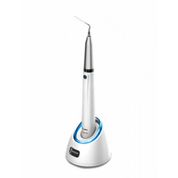 Woodpecker DTE Endo 1 Ergonomique Endo Irrigateur Endoactivateur Ultrasonique