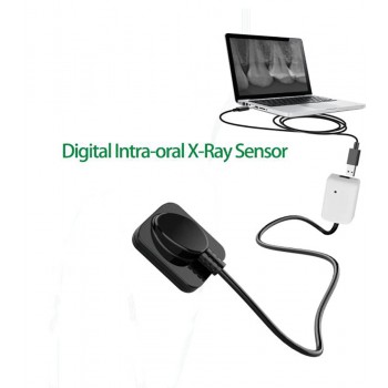 Capteur Radio Dentaire RVG Capteur Intraoral Radiologique Dentaire Numérique