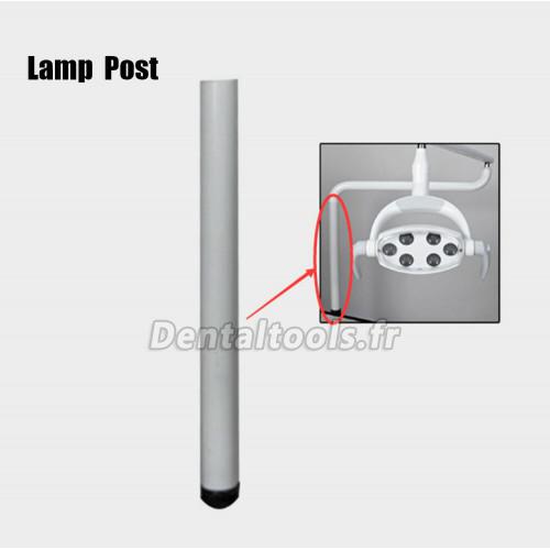 Poste de bras de lumière à induction orale à LED dentaire pour chaise d'unité dentaire