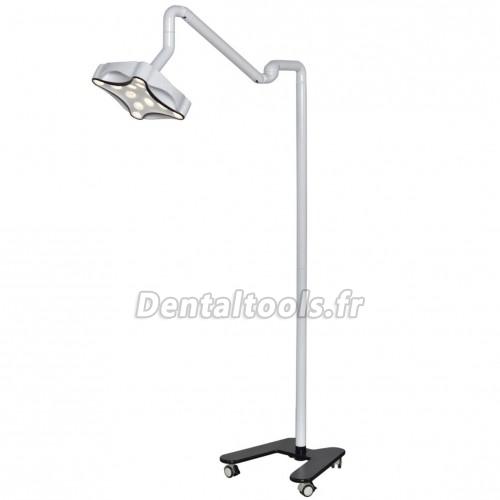 Vente de Micare JD1700L Lampe chirurgicale dentaire mobile lampe d'examen  sans ombre en ligne 