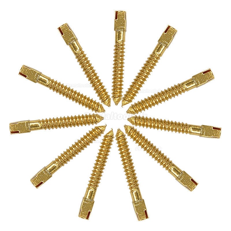 120Pcs Dentaire plaqué or 24K tige de vis broches tige filetée L1 # -L6 # VENTE