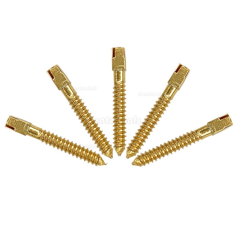 120Pcs Dentaire plaqué or 24K tige de vis broches tige filetée L1 # -L6 # VENTE