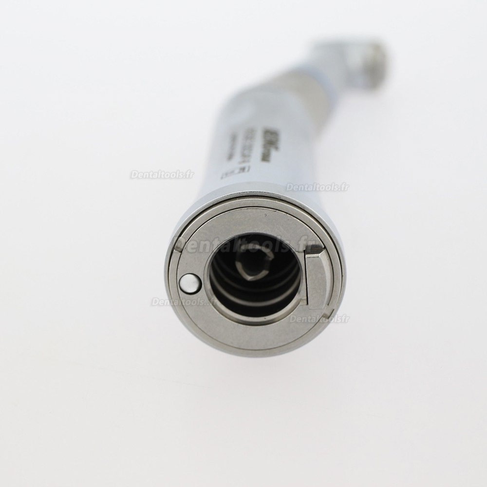 Being® Rose 202CAP-B Fibre optique Contre-angle 1:1 Spray Interne KAVO compatible