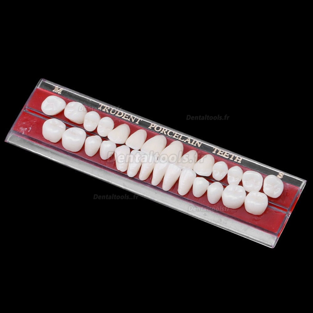 Matériau de prothèse dentaire en porcelaine, broches en alliage, couleurs, Guide d'ombre 2 pièces 24 #