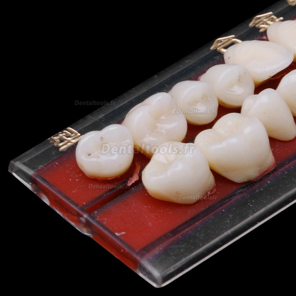 Matériau de prothèse dentaire en porcelaine, broches en alliage, couleurs, Guide d'ombre 2 pièces 24 #
