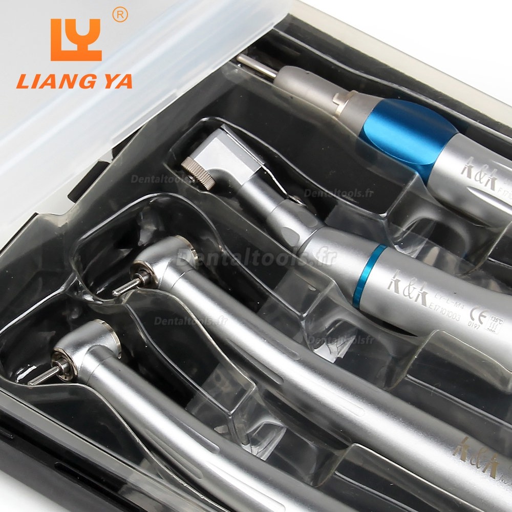 LY-L201 Kit de pièce à main dentaire basse et haute vitesse