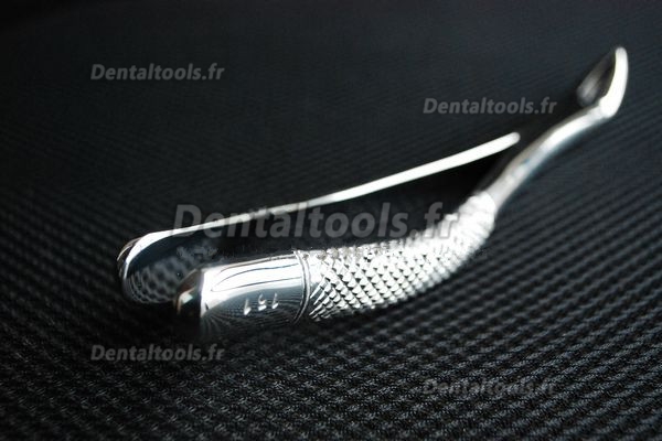 davier de dentiste/dentaire No. 151 latneD pour incisives et cannie inférieures