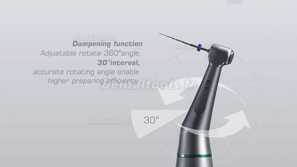 Denjoy Ai-Mate Moteur endodontie brushless avec localisateur d'apex mini Contre-angle 6:1