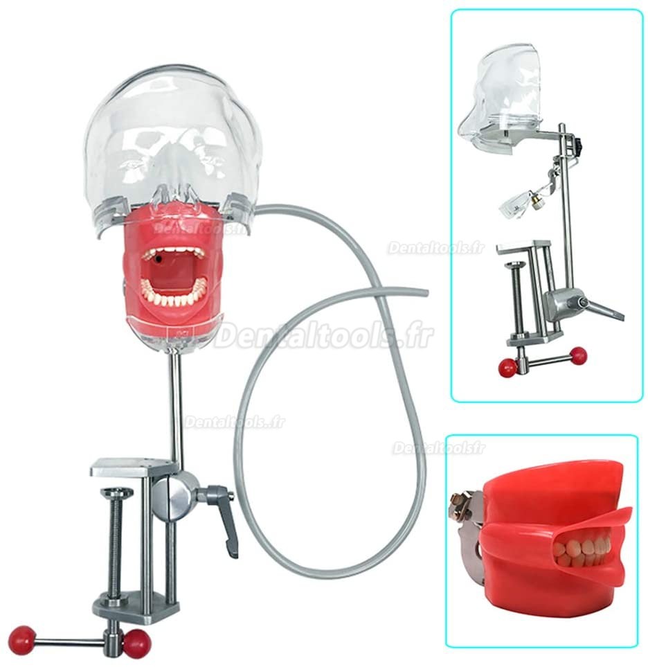 BD-402 Unité dentaire portable + lampe à polymériser + kit de pièce à main+ tête fantôme de mannequin