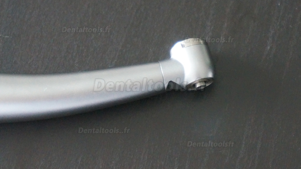 Being Lotus 303PB-N Fibre optique turbine dentaire button poussoir mini tête 6 trous NSK compatible