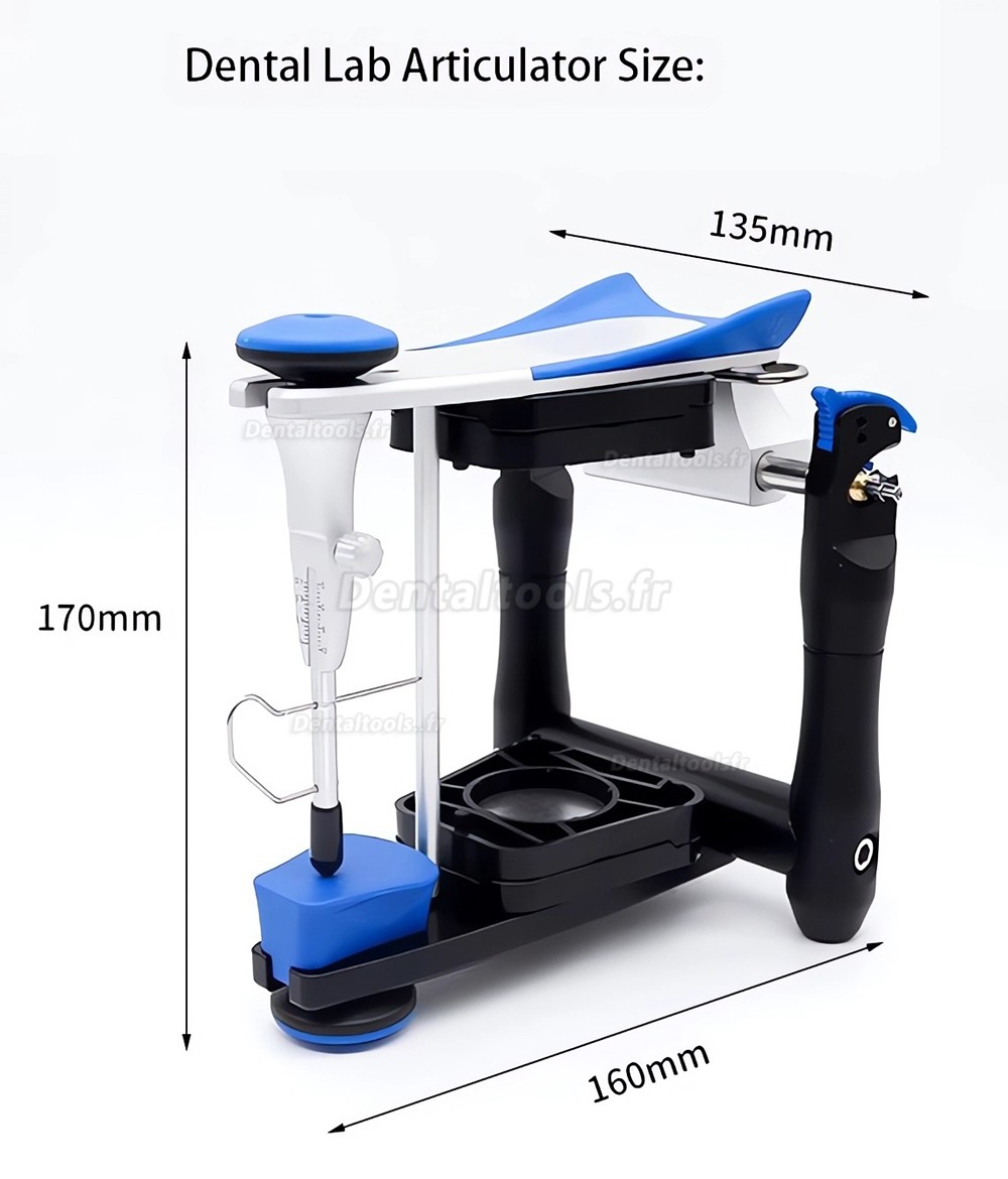 Articulateur dentaire BN valeur moyenne compatible Artex Amann Girrbach