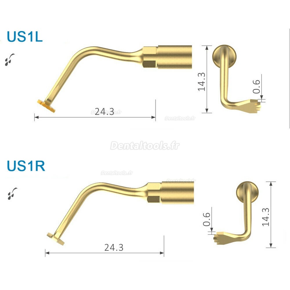 Woodpecker US1L US1R chirurgie osseuse par échographie Inserts F/ Mectron piezoSurgery Woodpecker ultrasurger