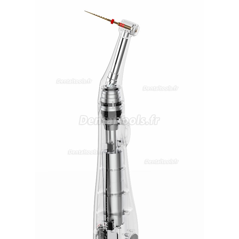 YUSENDENT COXO C-Smart-Mini Moteur d'endodontie sans fil Contre-angle 1:1 Bouton Poussoir