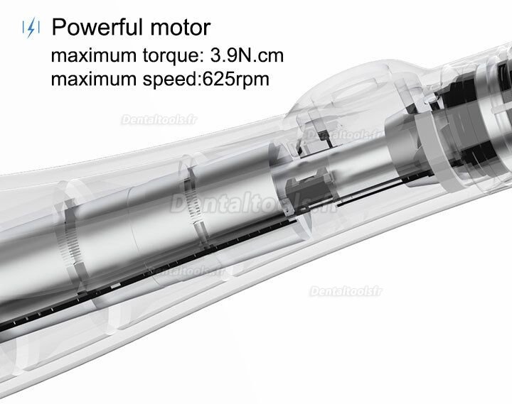 YUSENDENT COXO C-Smart-Mini Moteur d'endodontie sans fil Contre-angle 1:1 Bouton Poussoir