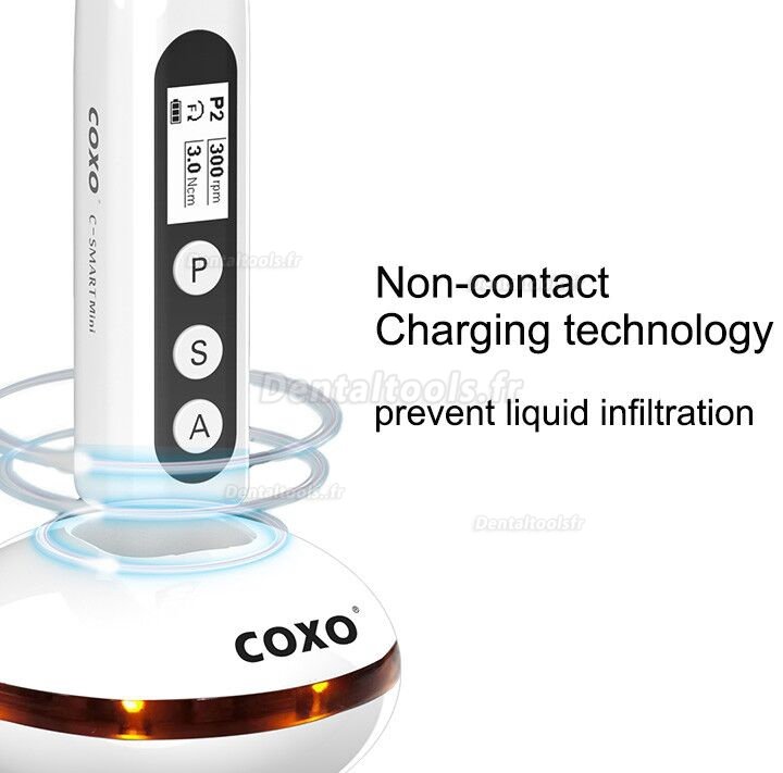 YUSENDENT COXO C-Smart-Mini Moteur d'endodontie sans fil Contre-angle 1:1 Bouton Poussoir