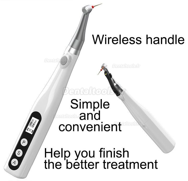 YUSENDENT COXO C-Smart-Mini Moteur d'endodontie sans fil Contre-angle 1:1 Bouton Poussoir