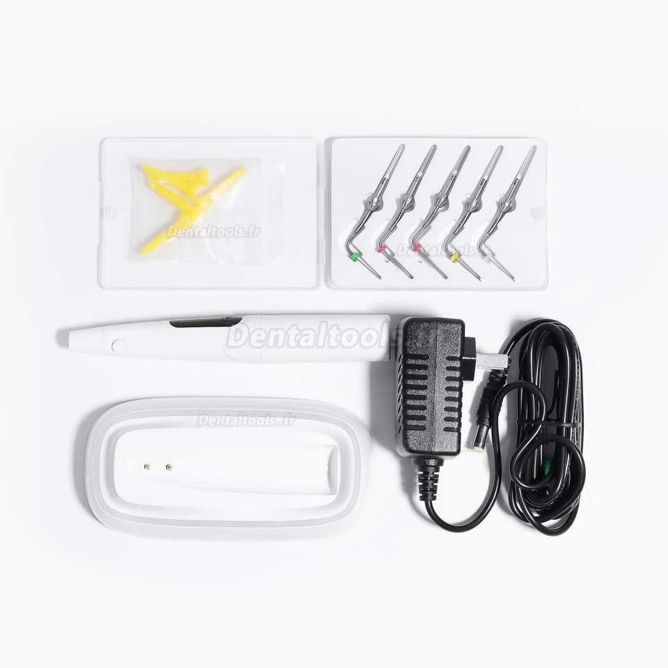 YUSENDENT COXO C-Fill Mini Kit de système d'obturation endodontique sans fil dentaire