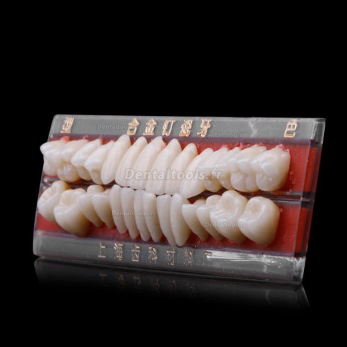 5PCS Porcelaine dentaire Dentiers matière de Alliage-Épingle couleur des dents plaque colorimétrique 1 ensemble 24 #