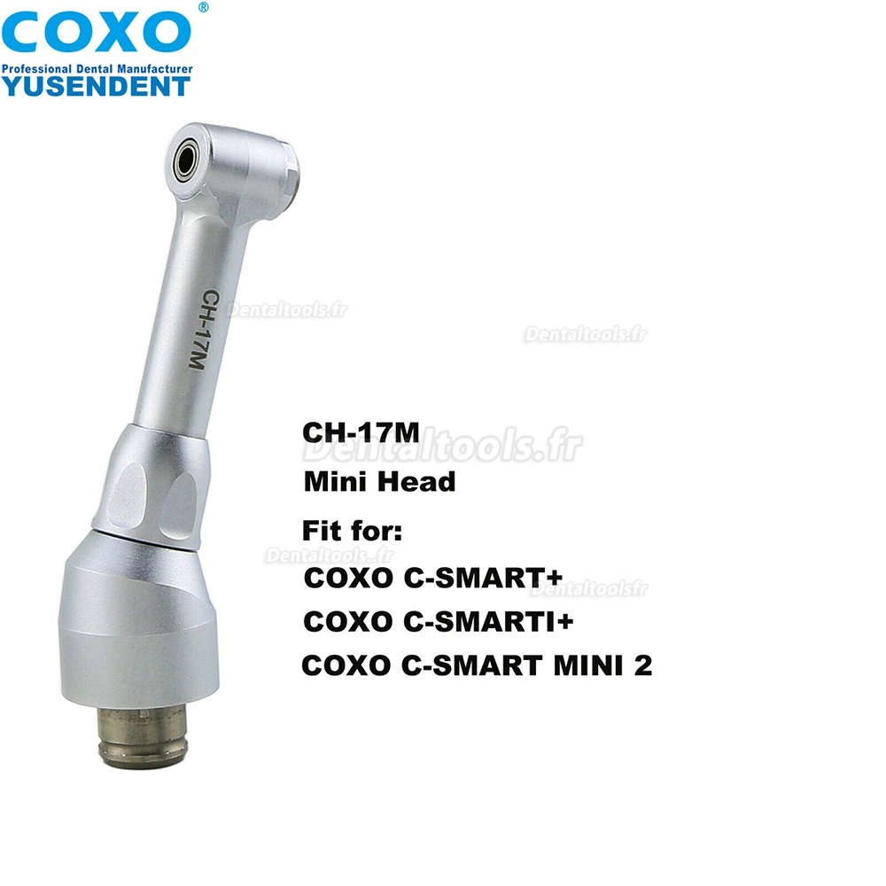 COXO Tête de pièce à main de remplacement dentaire pour pièce à main à contre-angle à basse vitesse