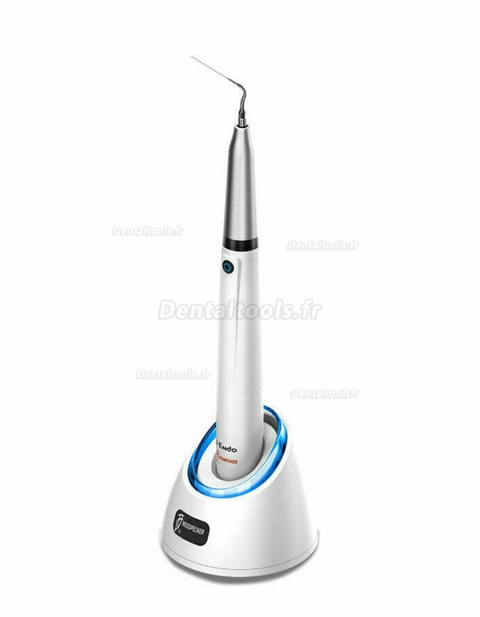 Woodpecker DTE Endo 1 Ergonomique Endo Irrigateur Endoactivateur Ultrasonique