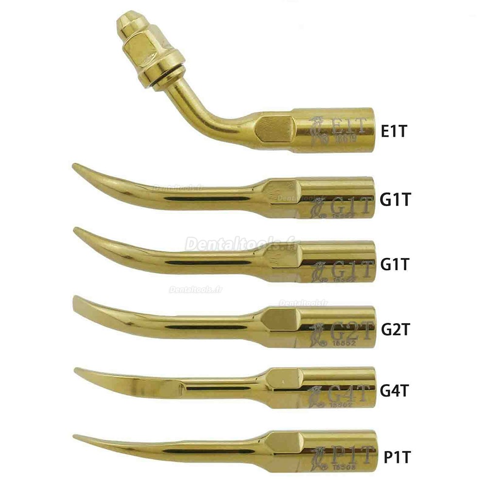 Woodpecker DTE Kit Insert de détartreur à ultrasons dentaire Endo parodontie G1T G2T G4T P1T E1T