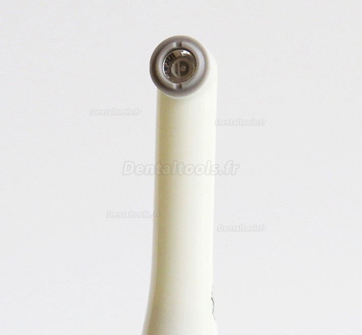 Woodpecker DTE LUX I Lampe LED à polymériser dentaire sans fil Woodpecker DTE LUX I Lampe LED à polymériser dentaire sans fil